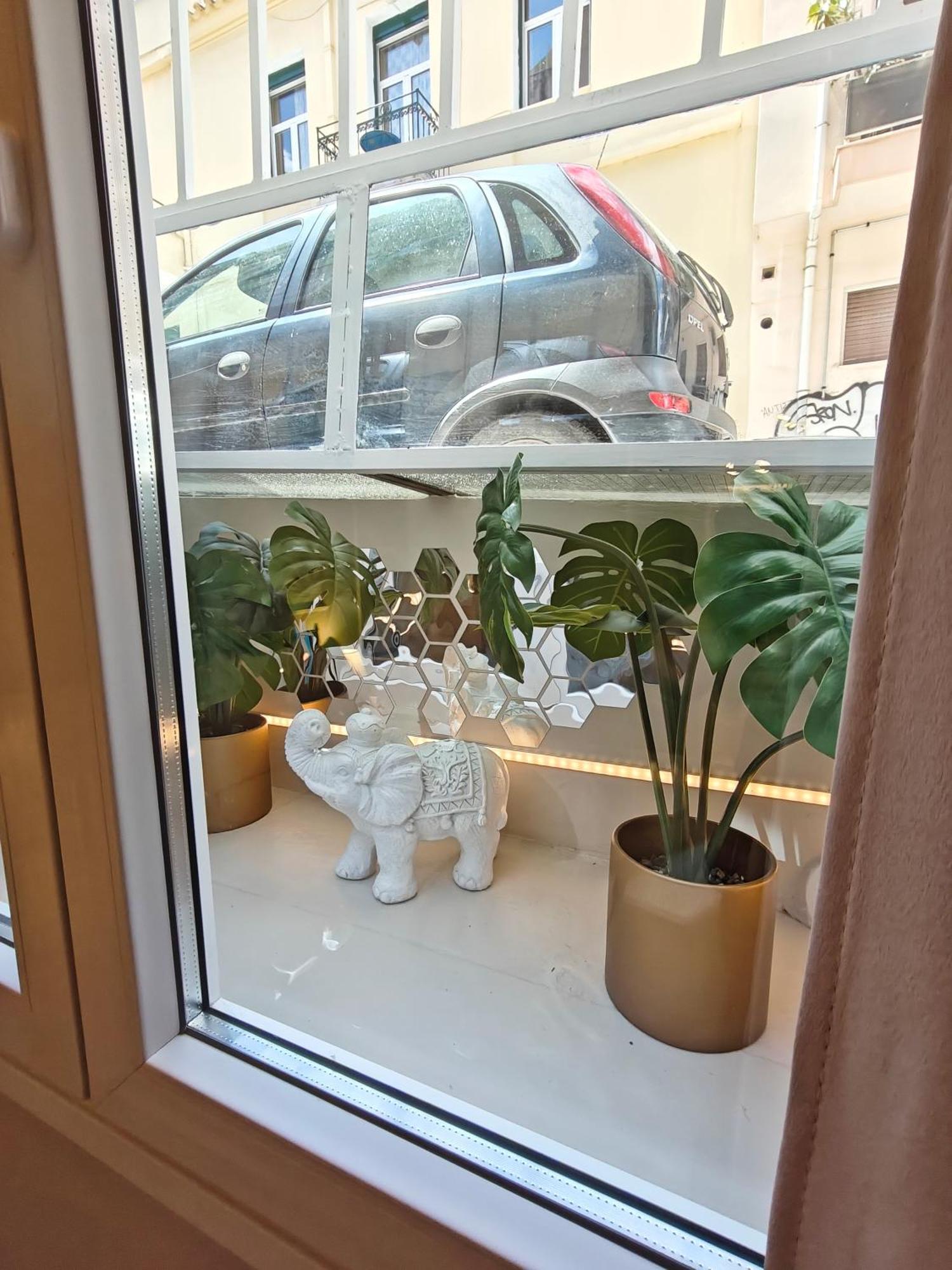 Apartment Lindy S